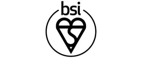 BSI Logo